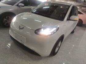 五菱汽车 五菱缤果 2023款 333km 悦享款