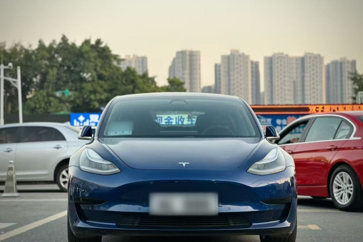 特斯拉 Model 3 2019款 标准续航后驱升级版车身外观6002