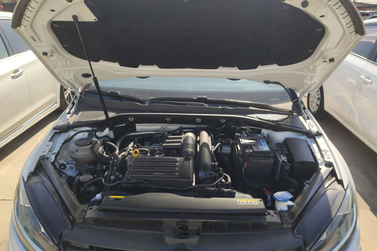 大众 高尔夫 2020款 挚爱版 280TSI DSG舒适型机舱底盘24