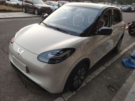 五菱汽车 五菱缤果 2023款 333km 灵犀互联+款