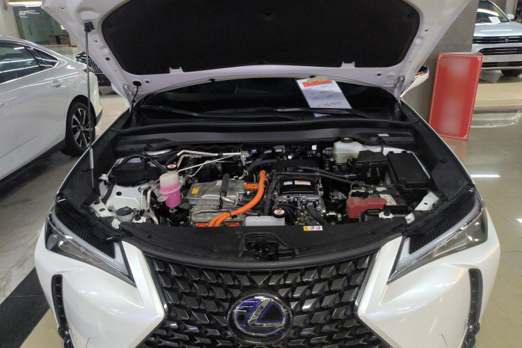 雷克萨斯UX新能源 2020款 300e 纯·悦版机舱底盘24
