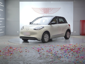 五菱汽车 五菱缤果 2023款 203km 轻享款