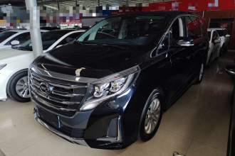 广汽传祺 传祺M8 2020款 领航款 390T 尊享版