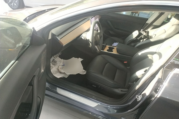 特斯拉 Model 3(进口) 2019款 Performance高性能全轮驱动版中控内饰20