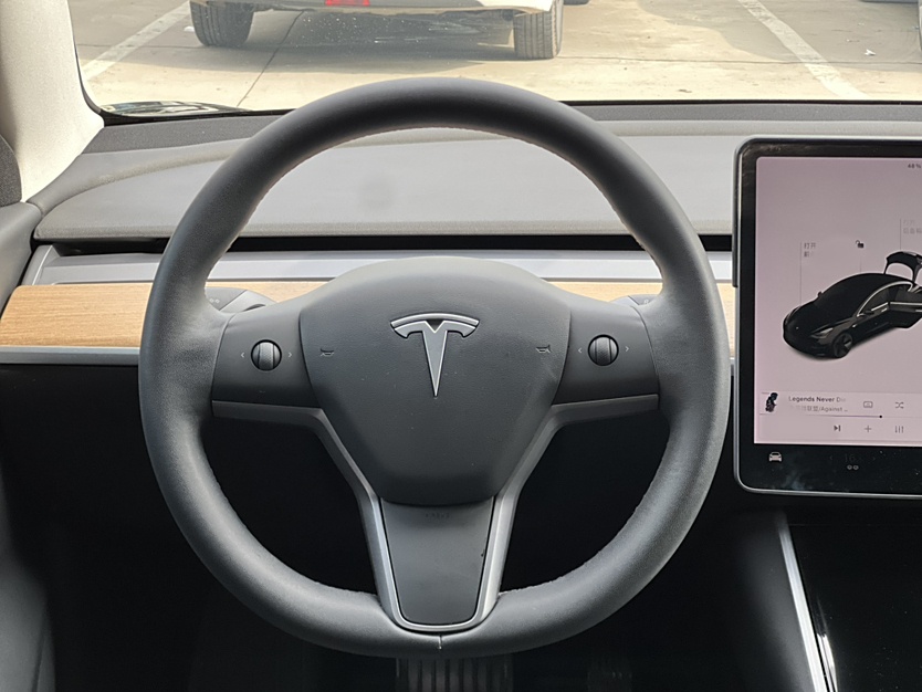 特斯拉 Model 3 2020款 标准续航后驱升级版