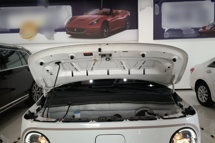 吉利银河 2023款 熊猫mini 200km 耐力熊局部细节24