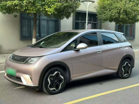 比亚迪 海豚 2021款 405km 自由版