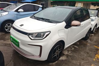 思皓 2022款 花仙子款 四叶草