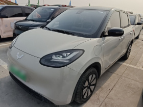 五菱汽车 五菱缤果 2023款 333km 悦享款