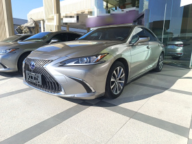 雷克萨斯ES 2020款 300h 卓越版