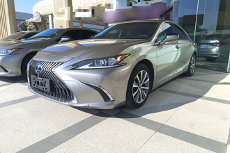 雷克萨斯ES 2020款 300h 卓越版