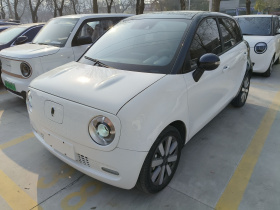 欧拉黑猫 2021款 351km 豪华型