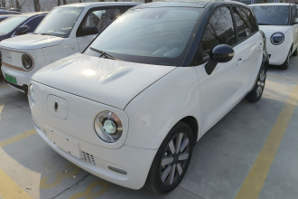 欧拉黑猫 2021款 351km 豪华型