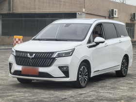 五菱汽车 五菱佳辰 2022款 1.5T CVT尊享旗舰型