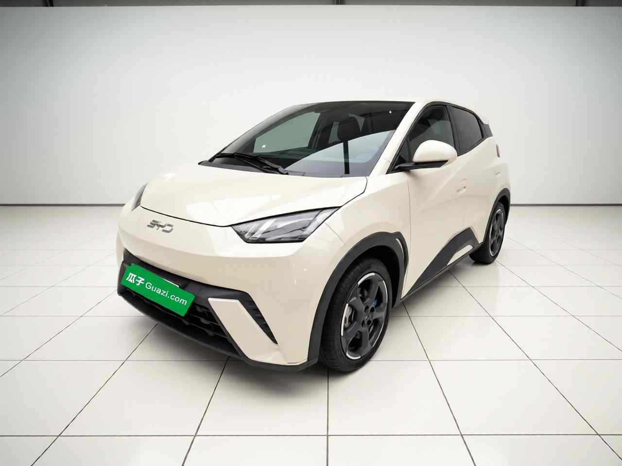 比亚迪 海鸥 2024款 荣耀版 405km 飞翔版(2)