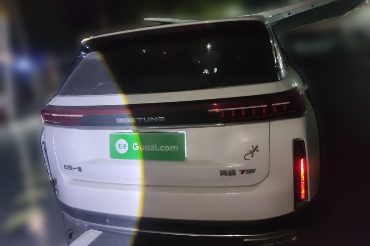 奔腾T99 2020款 20TD 自动尊享型车身外观6