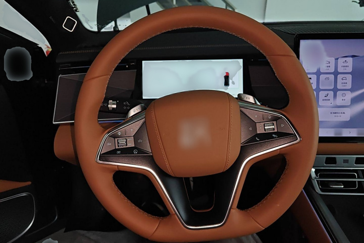 比亚迪 汉L 2025款 DM-p 四驱激光雷达旗舰型局部细节13