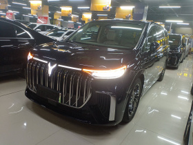 岚图汽车 岚图梦想家 2022款 低碳版 梦+智享包