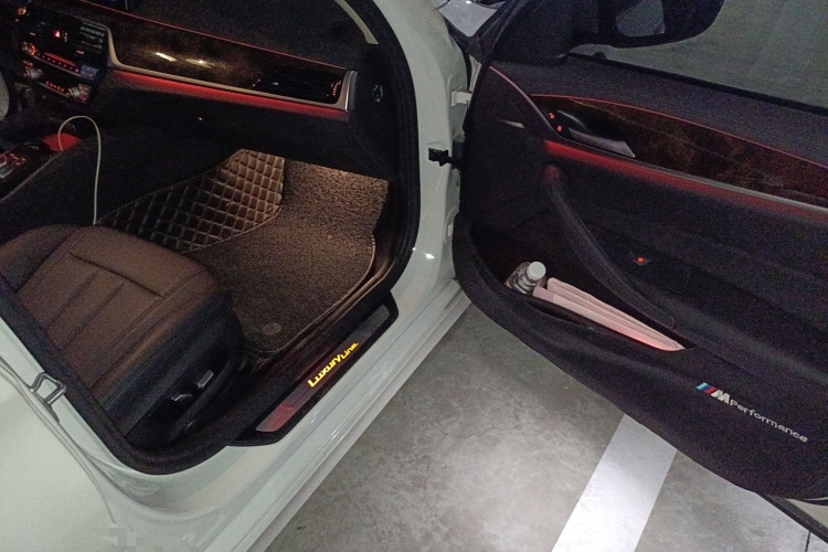 宝马5系 2019款 525Li 豪华套装局部细节9005