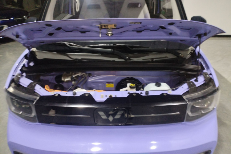 五菱汽车 宏光MINIEV 2022款 马卡龙缤纷款 磷酸铁锂机舱底盘24