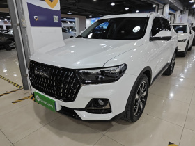 哈弗H6 2023款 国潮版 1.5T 自动冠军版