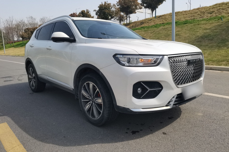 哈弗H6 2021款 1.5GDIT 自动冠军版车身外观6001