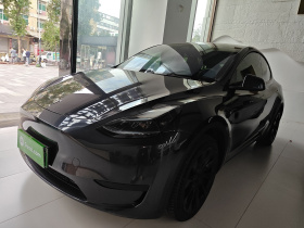 特斯拉 Model Y 2024款 后轮驱动版