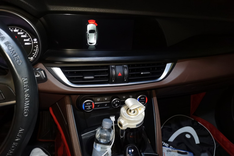 阿尔法·罗密欧 Stelvio斯坦维 2017款 2.0T 200HP 精英版局部细节16