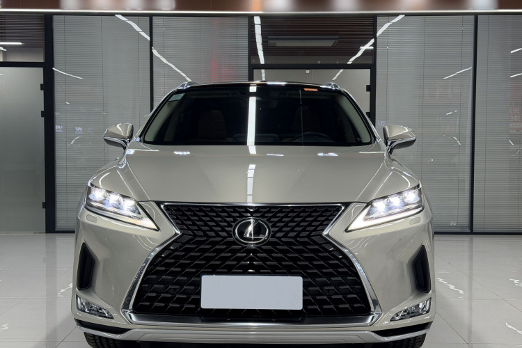 雷克萨斯RX 2020款 300 四驱典雅版 国VI车身外观6002
