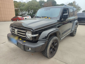 坦克300 2021款 城市版 2.0T 我看型