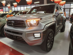 坦克700新能源 2024款 Hi4-T 极境版