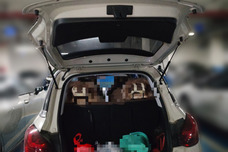 五菱汽车 五菱缤果 2023款 410km 灵犀尊享款局部细节23