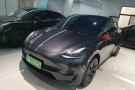 特斯拉 Model Y 2024款 后轮驱动版