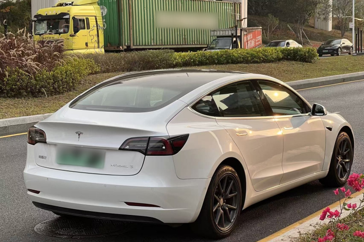 特斯拉 Model 3 2020款 改款 长续航后轮驱动版车身外观6005