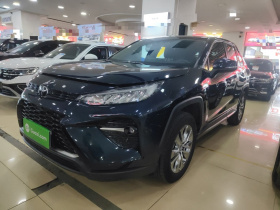 丰田 威兰达 2022款 2.0L CVT四驱豪华版
