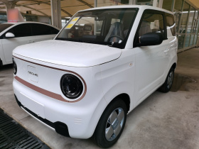 吉利银河 2024款 熊猫mini 200km 耐力熊