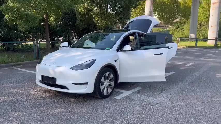 特斯拉 Model Y 2021款 长续航全轮驱动版 3D7实拍1