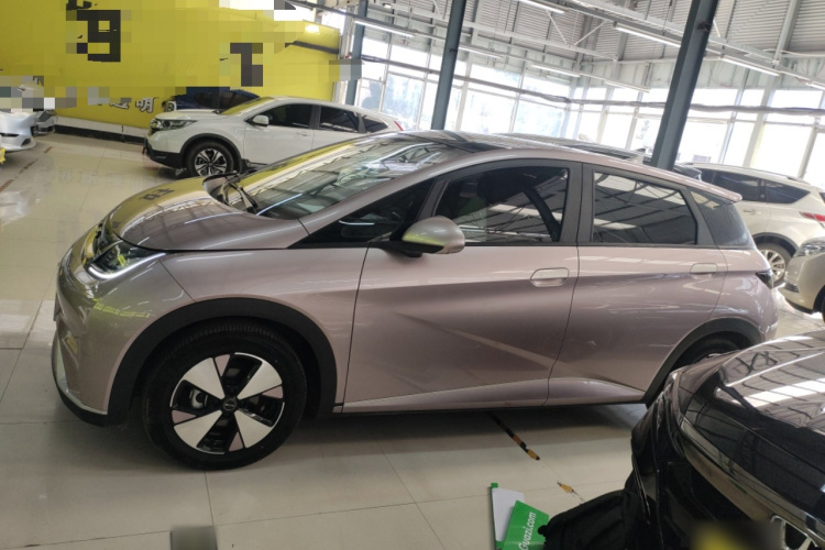 比亚迪 海豚 2023款 420km 时尚版车身外观4