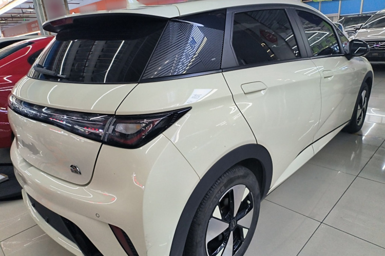 比亚迪 海豚 2023款 420km 时尚版车身外观7