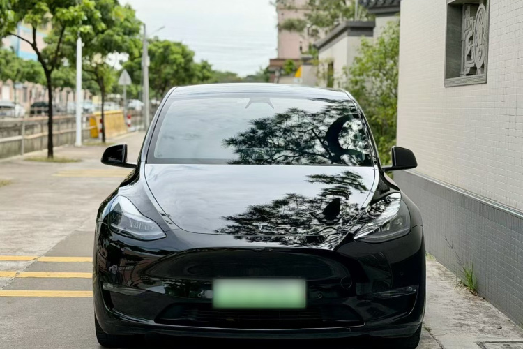 特斯拉 Model Y 2021款 标准续航后驱版车身外观6008
