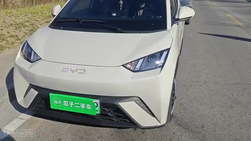 比亚迪 海鸥 2025款 305km 活力版检测视频1