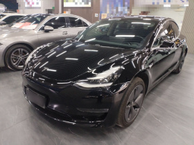 特斯拉 Model 3(进口) 2019款 长续航后驱版