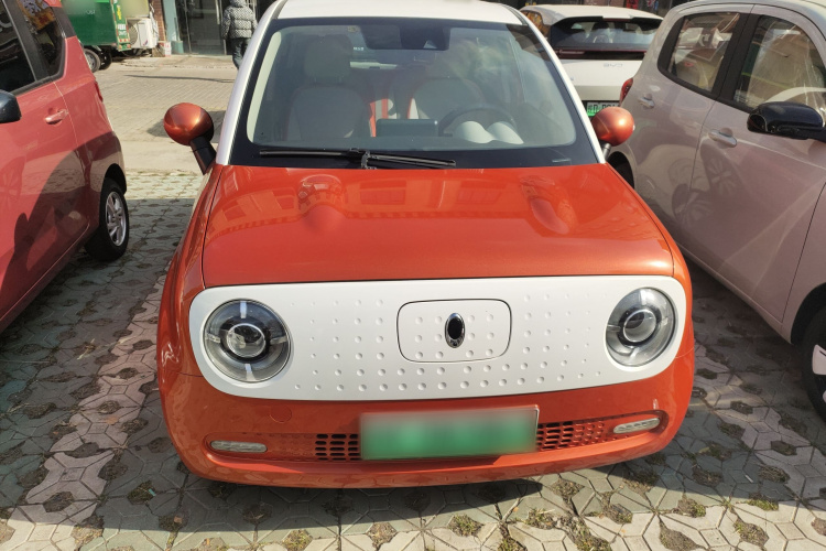 欧拉黑猫 2021款 351km 豪华型车身外观2