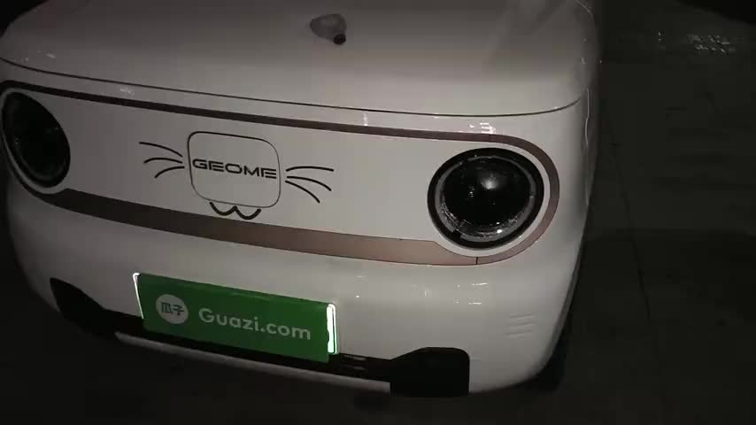 吉利银河 2023款 熊猫mini 200km 耐力熊检测视频1