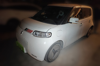 欧拉白猫 2020款 360km 豪华型