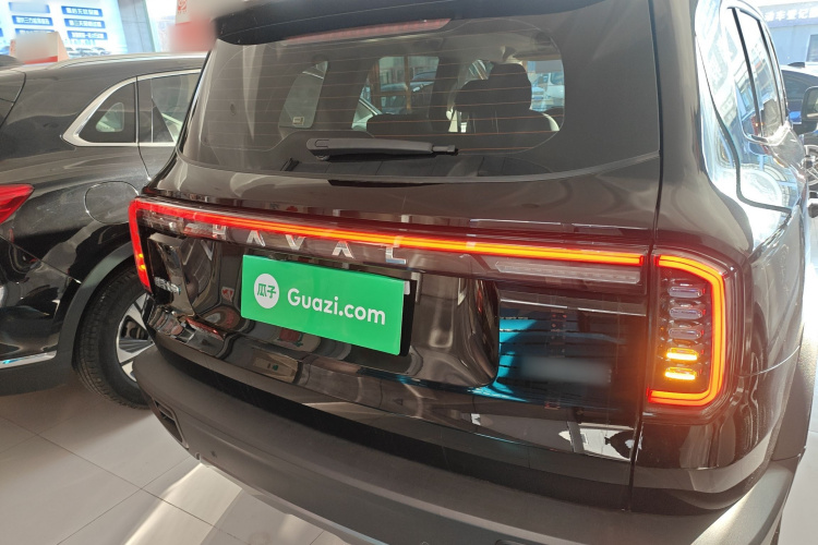 哈弗大狗 2024款 1.5T DCT边牧版车身外观6