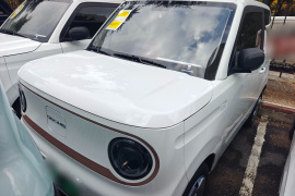 吉利银河 2024款 熊猫mini 200km 耐力熊