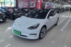特斯拉 Model 3 2020款 改款 标准续航后驱升级版