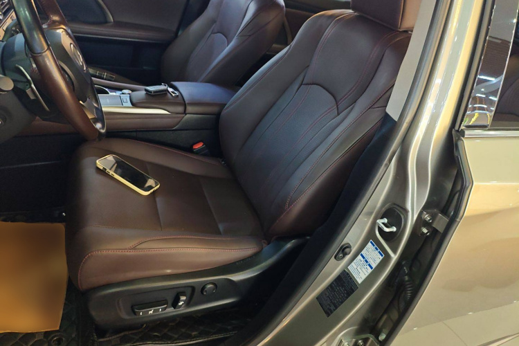 雷克萨斯RX 2020款 改款 300 四驱典雅版局部细节19