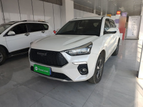 哈弗H6 Coupe 2019款 1.5T 自动两驱精英型 国VI